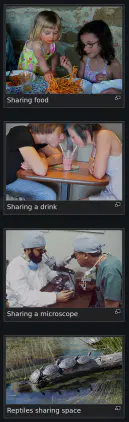 Posted media